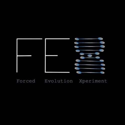 F.E.X (Forced Evolution Experiment)