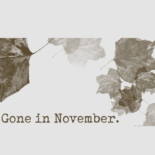 Gone In November