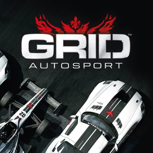 Grid: Autosport (Black Edition)