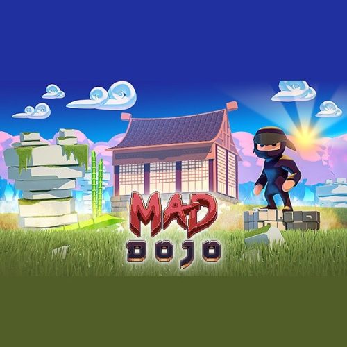 Mad Dojo