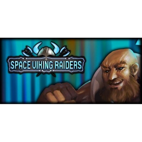 Space Viking Raiders