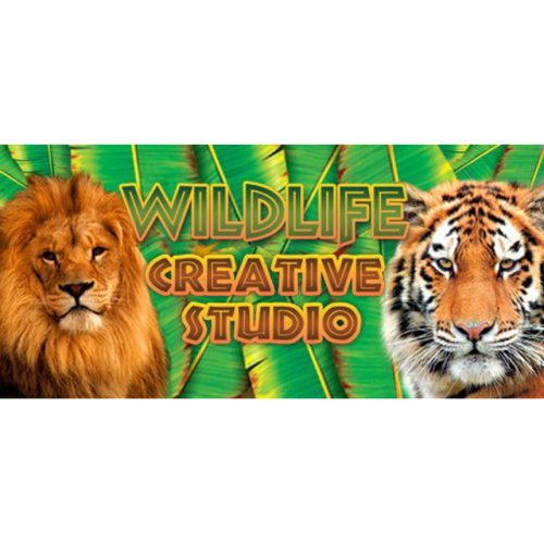 The Wildlife Creative Studio