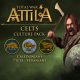 Total War: Attila - Celts Culture Pack (DLC)