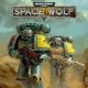 Warhammer 40,000: Space Wolf