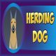 Herding Dog