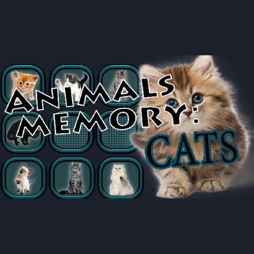 Animals Memory: Cats