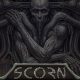 Scorn