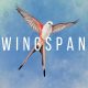 Wingspan