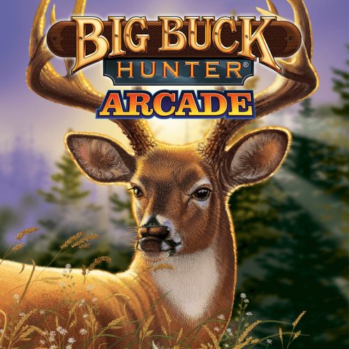 Big Buck Hunter Arcade