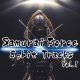 RPG Maker VX Ace - Samurai Force 8bit Tracks Vol.1 (DLC)