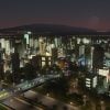 Cities: Skylines (EU)