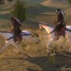 Mount & Blade: Warband (EU)