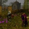 Neverwinter Nights: Complete Adventures