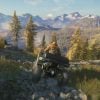 theHunter: Call of the Wild - Essentials DLC Bundle (DLC)