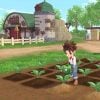 Story of Seasons: A Wonderful Life